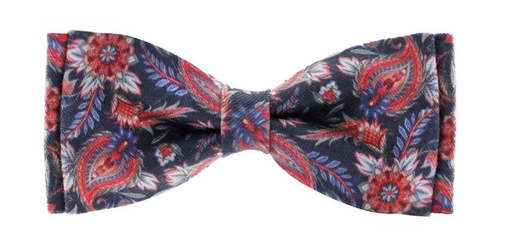 Boys Bow Tie F23